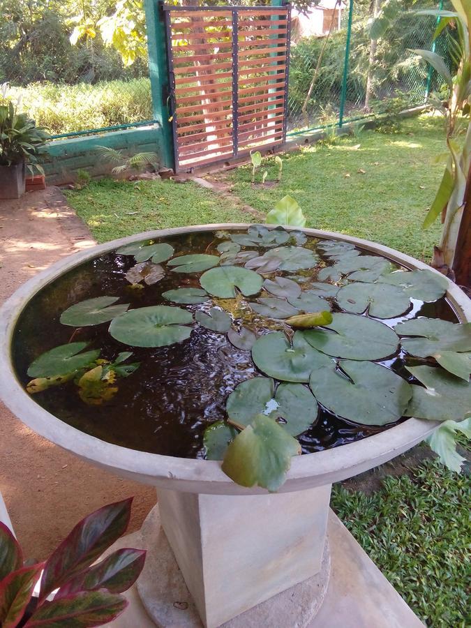 Waterway Garden Villa Polonnaruwa Exterior photo